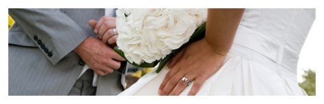 animation-wedding.jpg